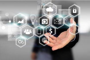 大數(shù)據(jù)處理的智慧之道 80%的人尚未觸及的服務(wù)與策略